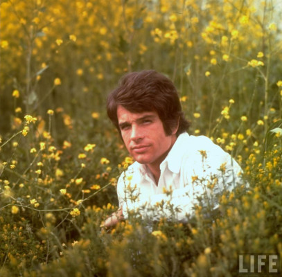 photo 6 in Beaty gallery [id279588] 2010-07-21 00:00:00