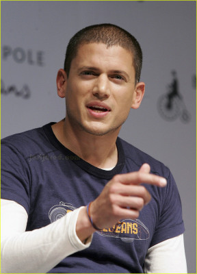 Wentworth Miller pic #80044