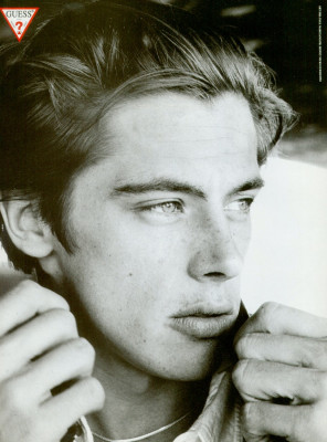 Werner Schreyer pic #344227