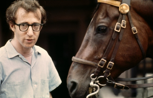 Woody Allen pic #192949
