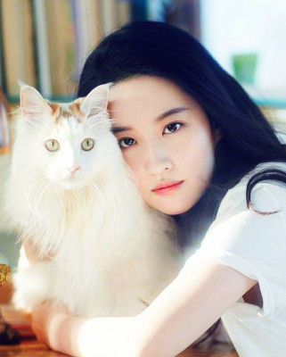 photo 20 in Yifei Liu gallery [id1157755] 2019-04-08 00:00:00