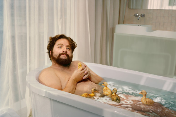 Zach Galifianakis  pic #520132