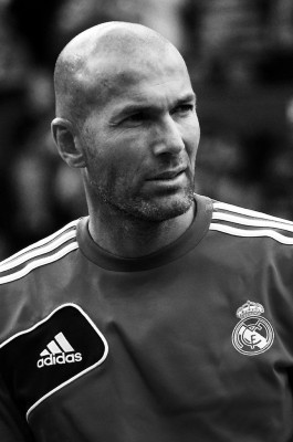 Zinedine Zidane pic #746588