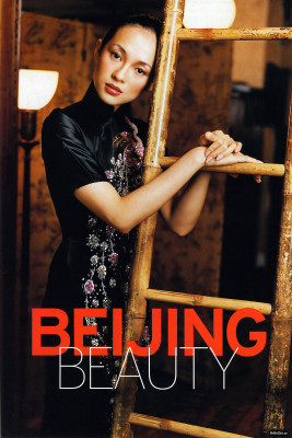 Ziyi Zhang pic #406615
