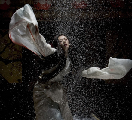 Ziyi Zhang pic #214773