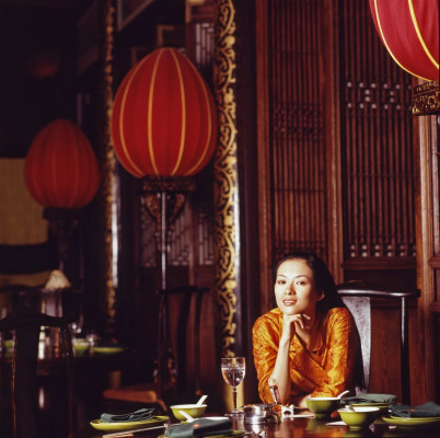 Ziyi Zhang pic #1172593