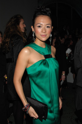 Ziyi Zhang pic #626811