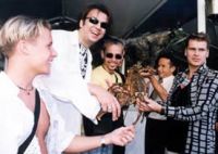 Киркоров защитил путан от "Дискомафии"