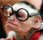 Лучшее в модном бизнесе: год 2003 ...