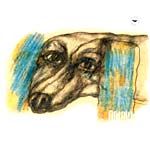 Дельфин «Звезда». mp3-премьера диска