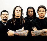  P.O.D. записались с хасидом-растаманом