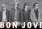 Самолет Bon Jovi проскочил посадочную полосу