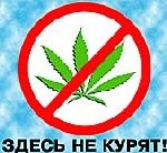 В австралийских клубах на входе поставят собак