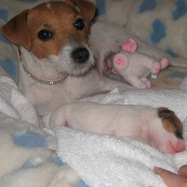 Пополнение в семье Мэрайи Кэри