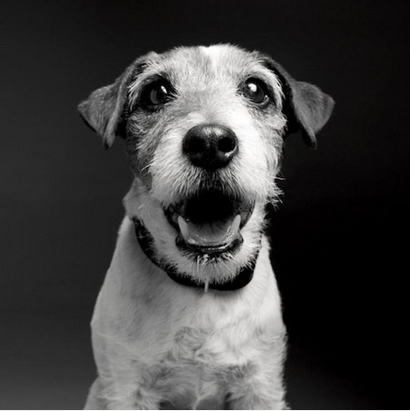 Номинанты на Оскар-2012 от Gavin Bond