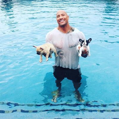 Дуэйн Джонсон обучает щенков плаванию