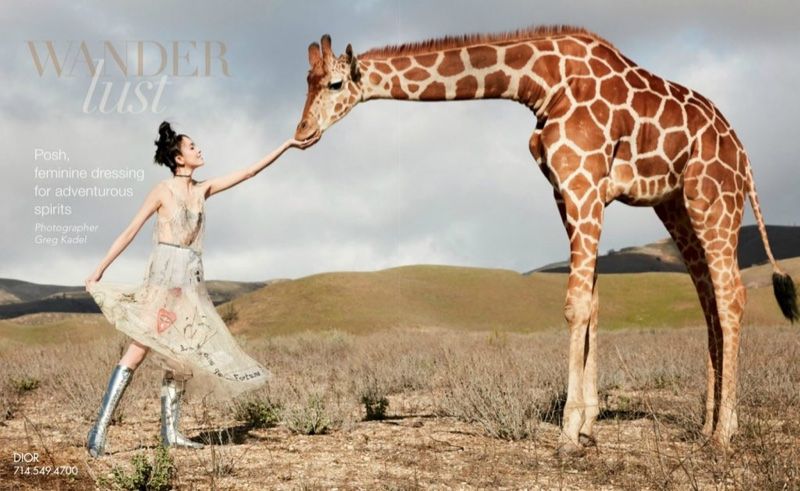 Сафари от Фей Фей Сун