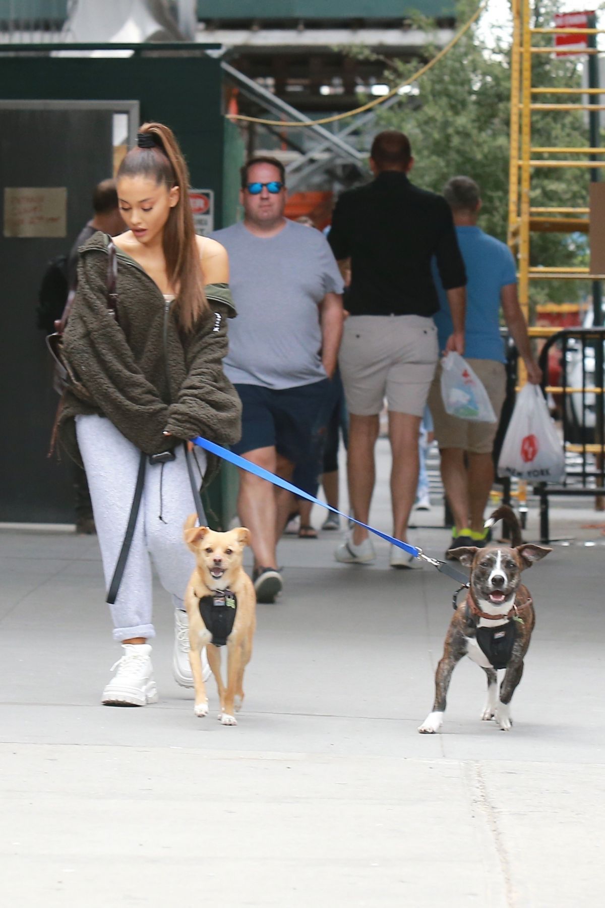 Ariana Grande, photo #1106515