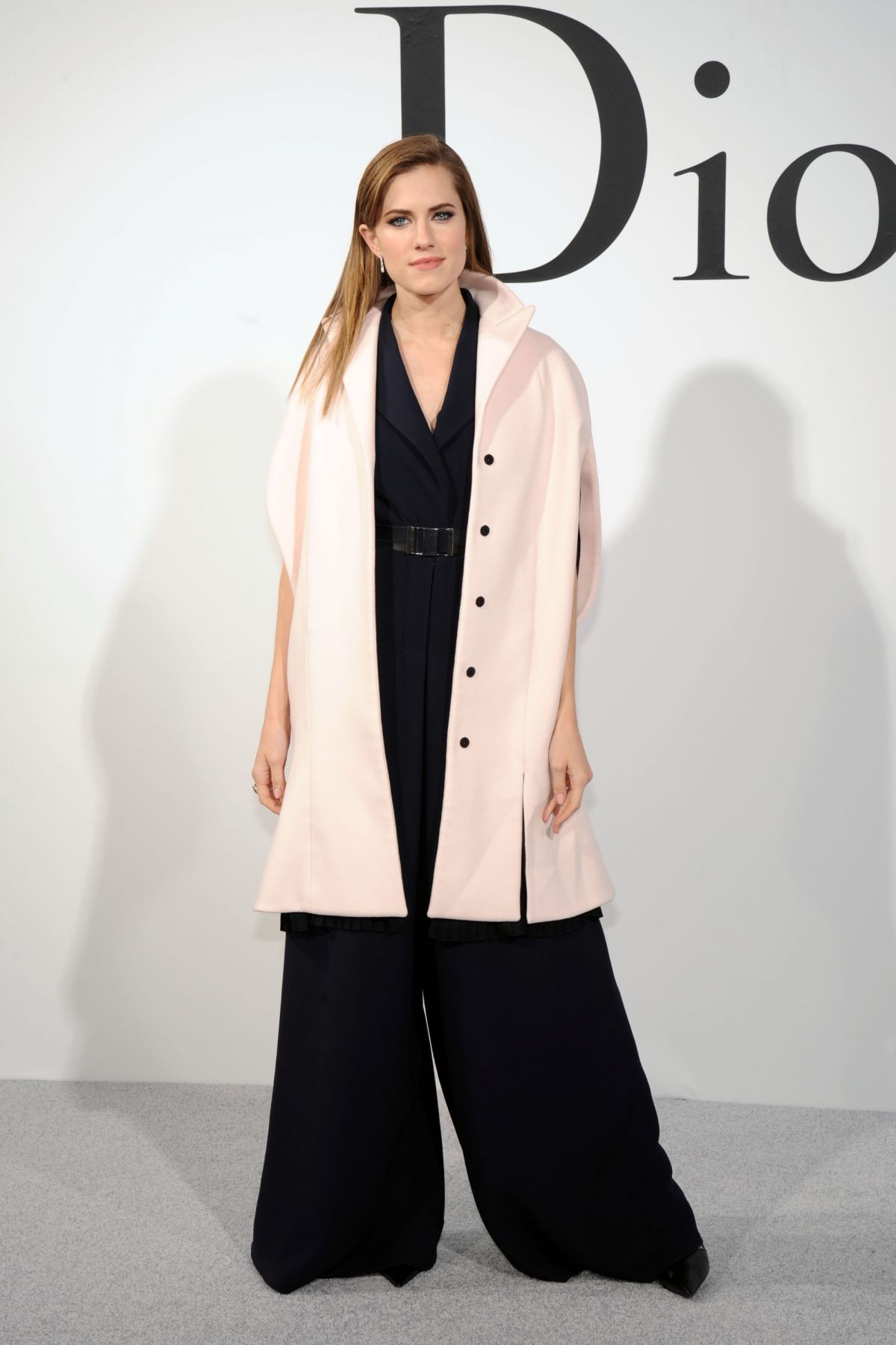 Allison Williams, photo #729256