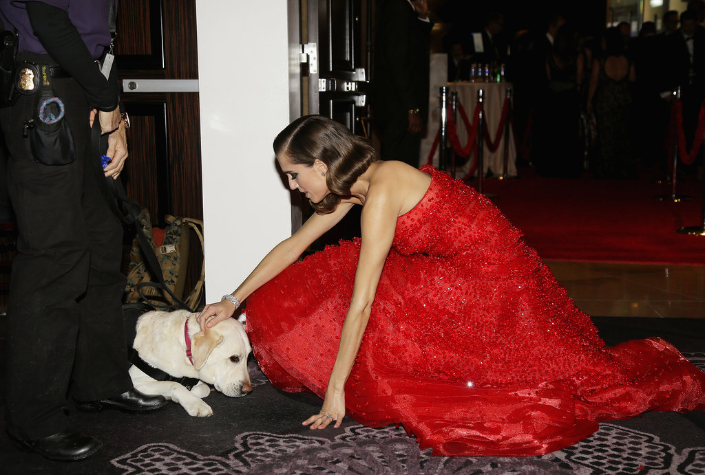 Allison Williams, photo #786049