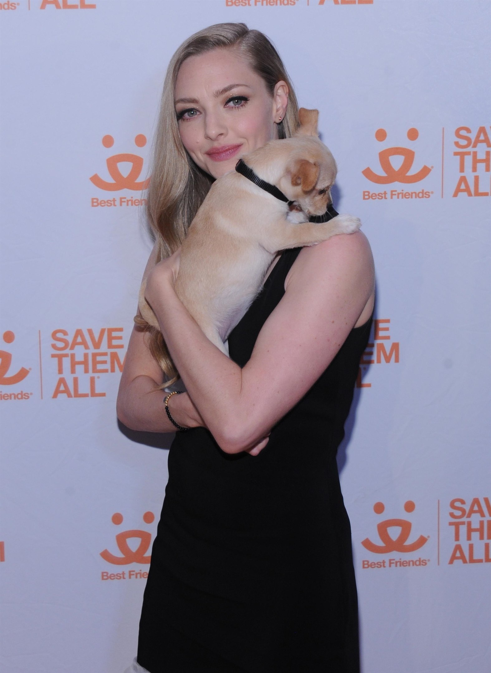 Amanda Seyfried, photo #1063656