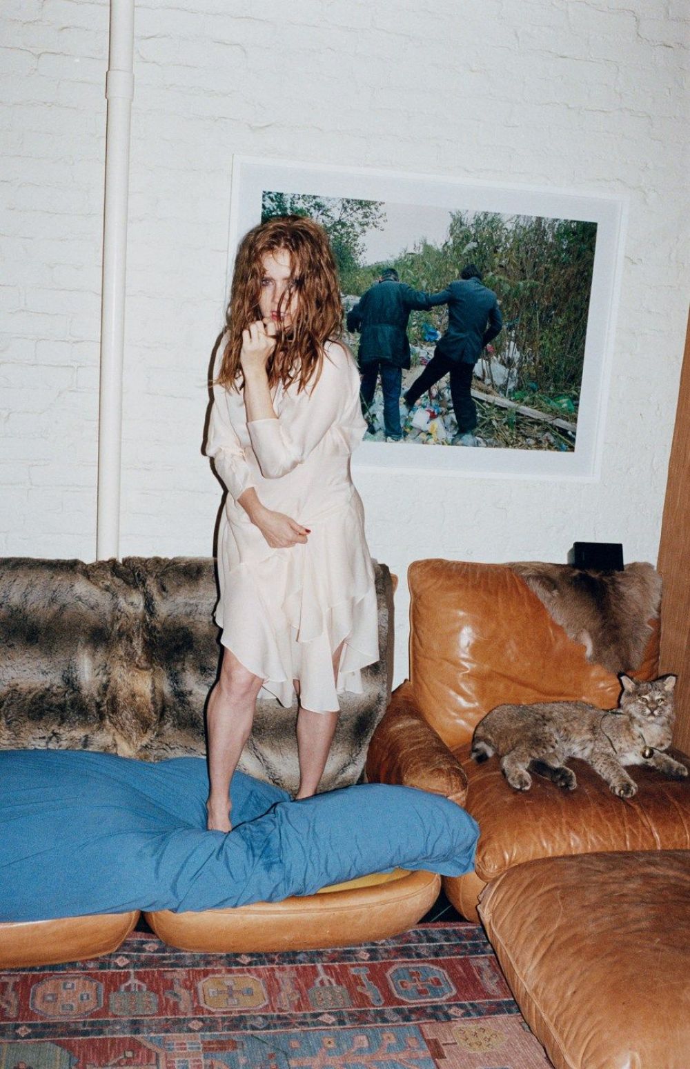 Amy Adams, photo #757132