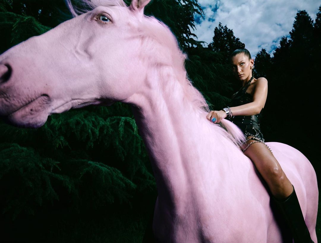 Bella Hadid, photo #1334143