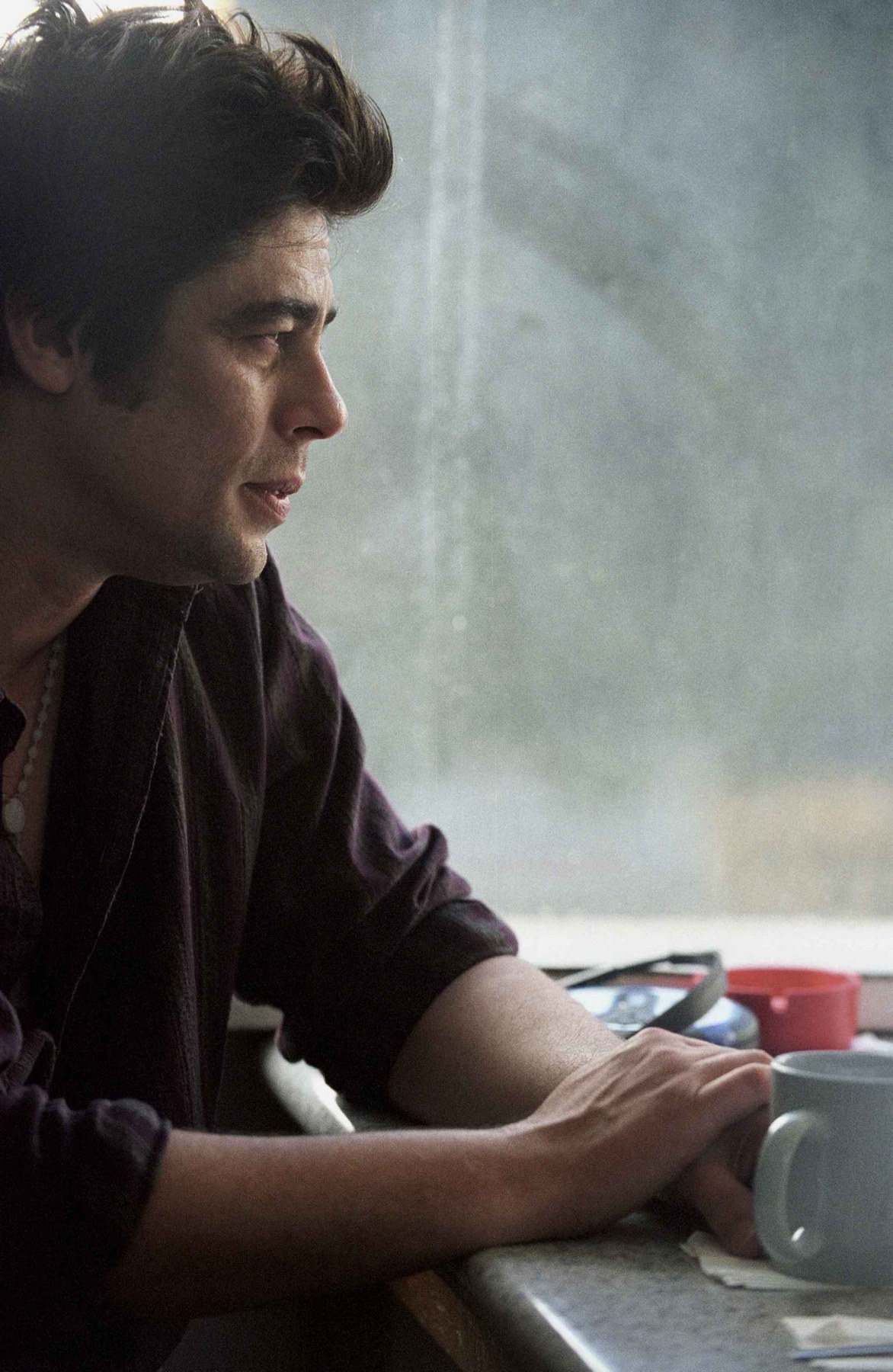 Benicio Del Toro, photo #102775