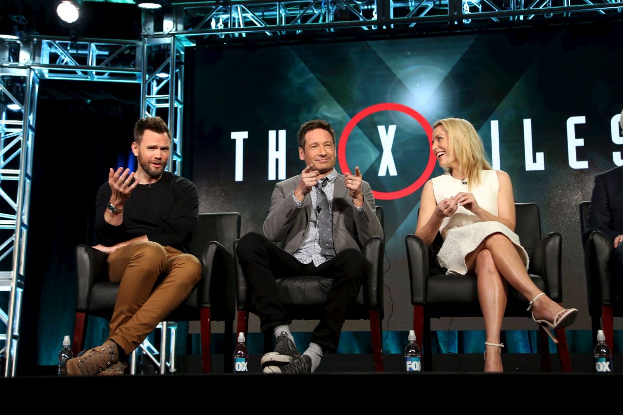 David Duchovny, photo #861114