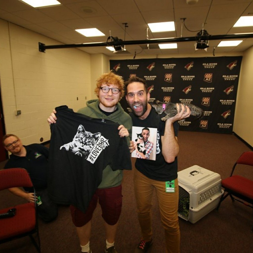Ed Sheeran, photo #1019612