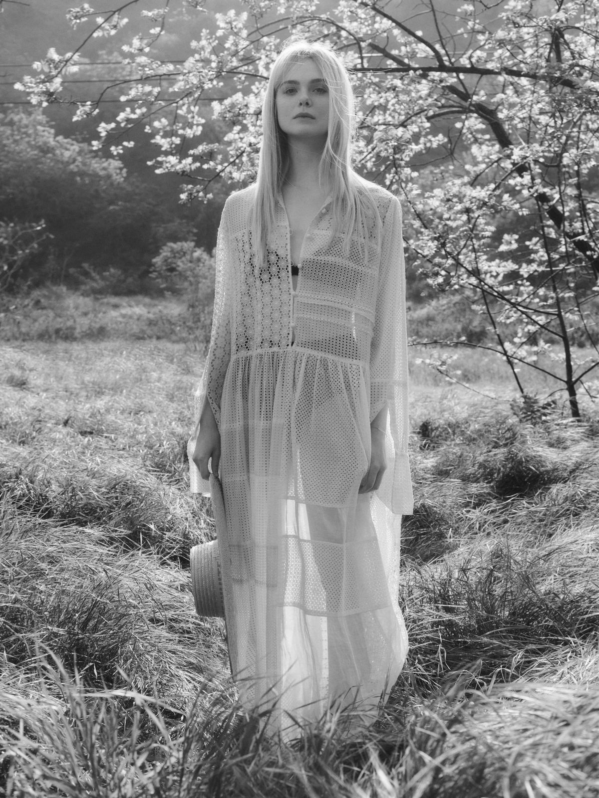 Elle Fanning, photo #1068156