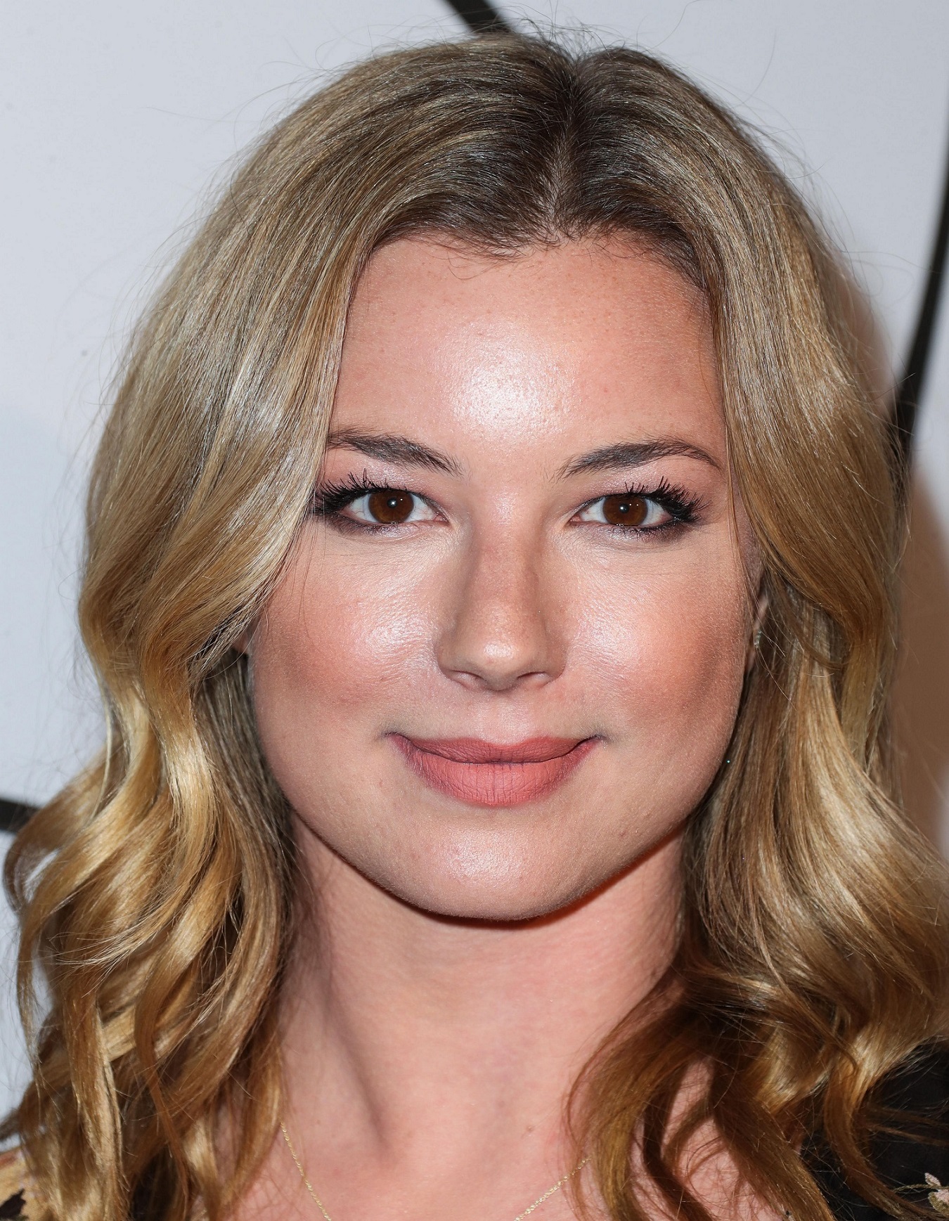 Emily van Camp, photo #983573