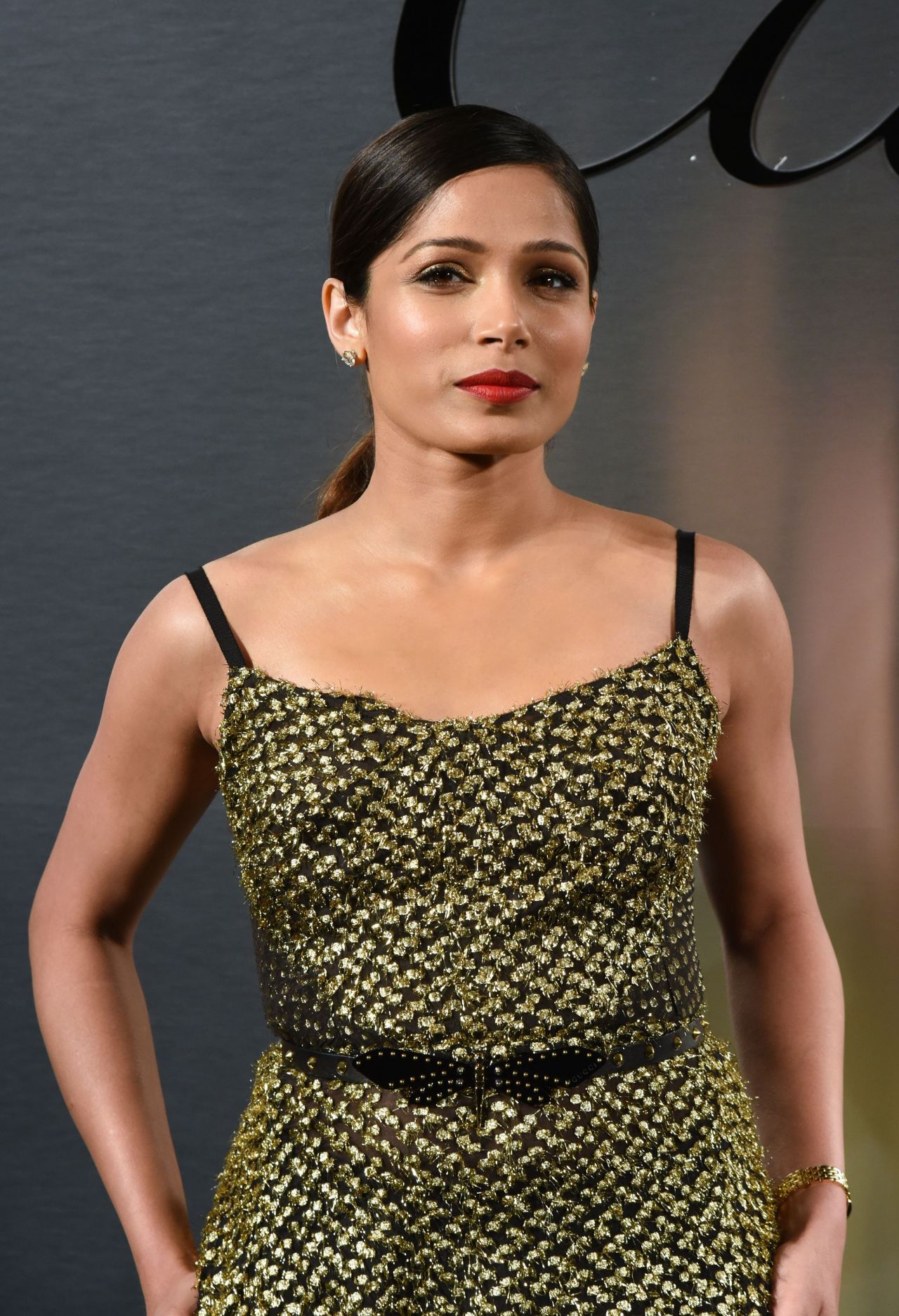 Freida Pinto, photo #1060072