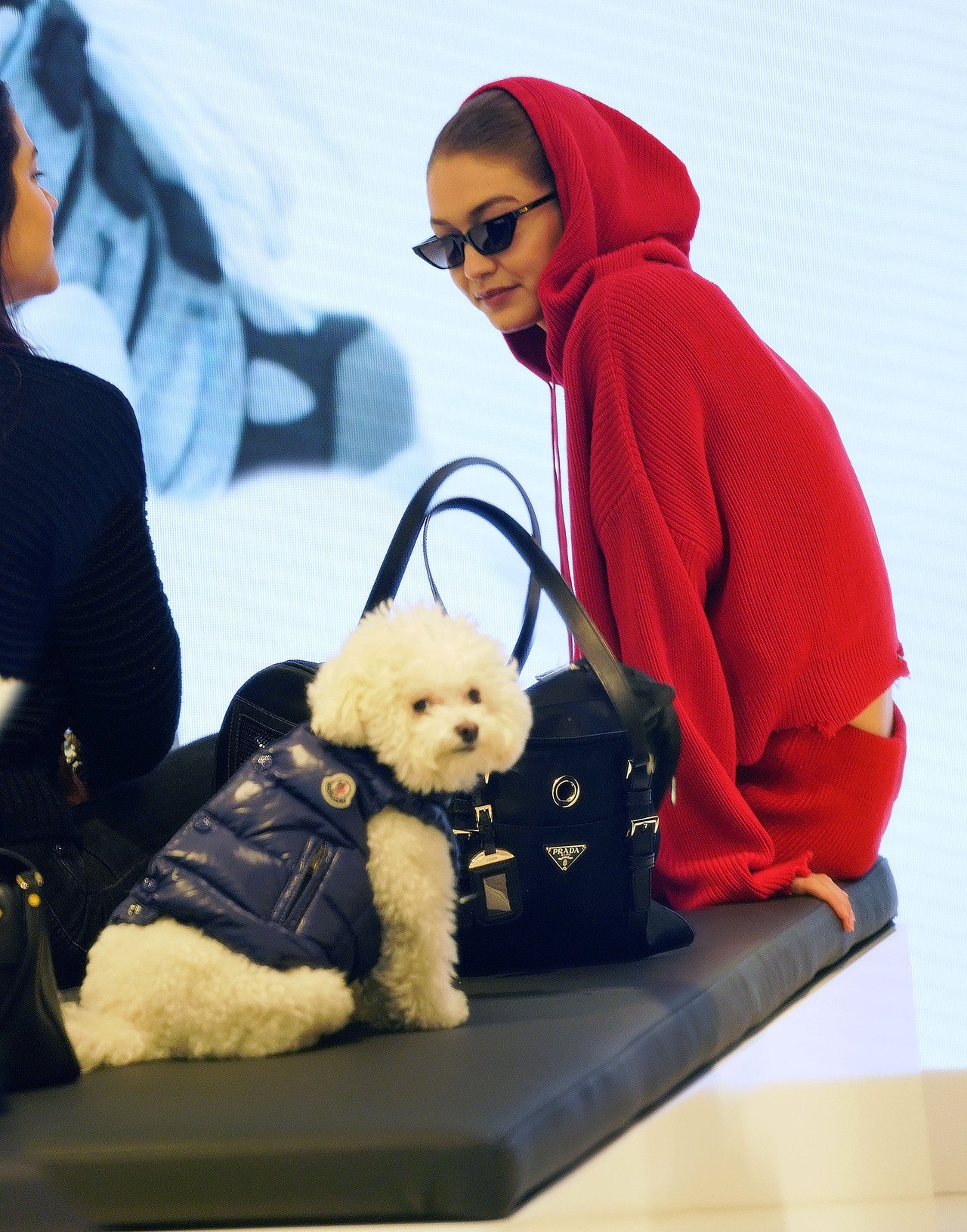 Gigi Hadid, photo #1044407
