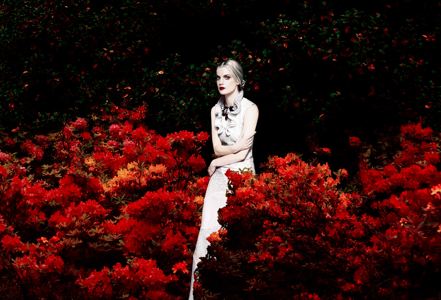 Guinevere van Seenus, photo #876370