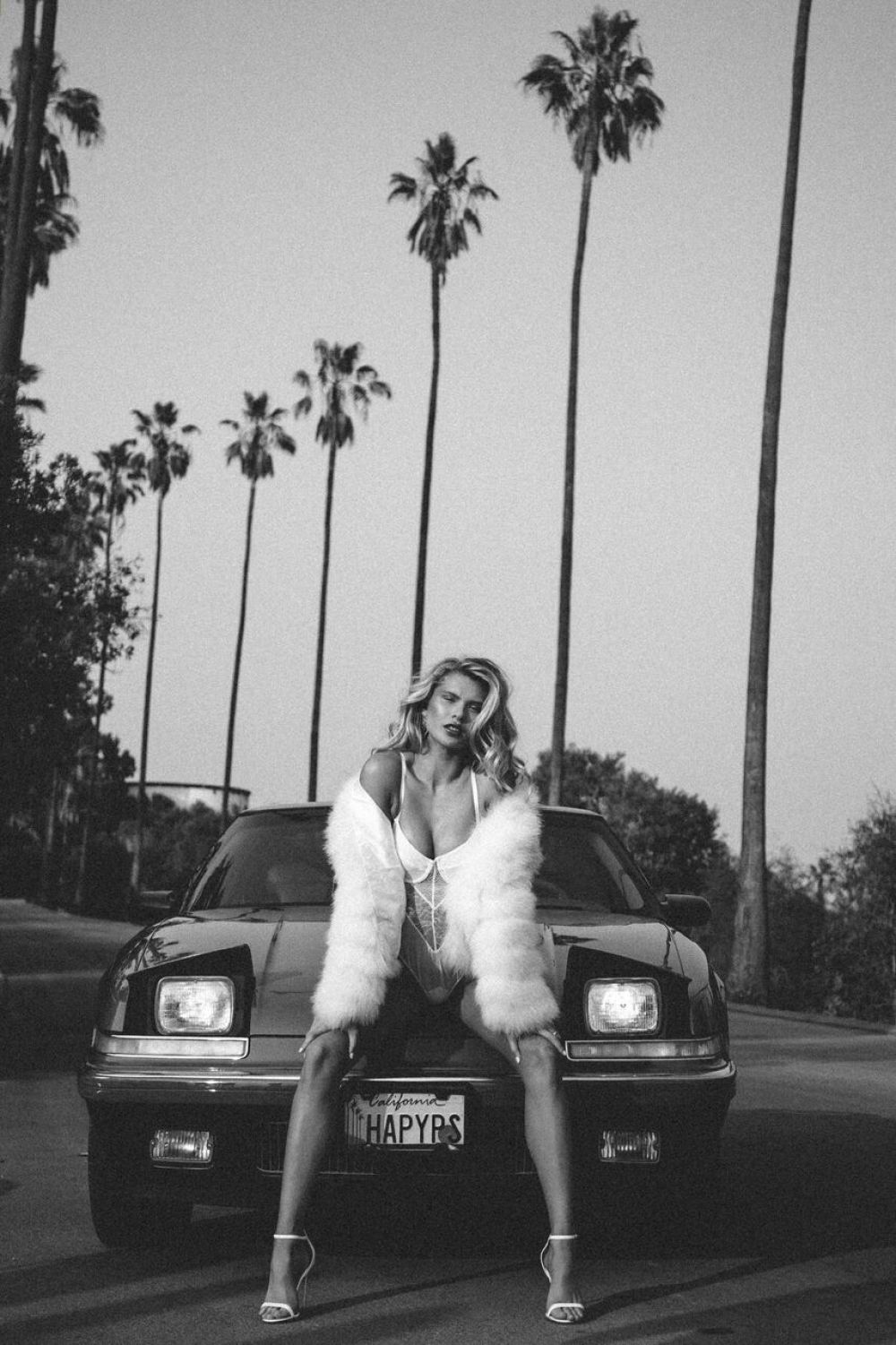 Josie Canseco, photo #1097840