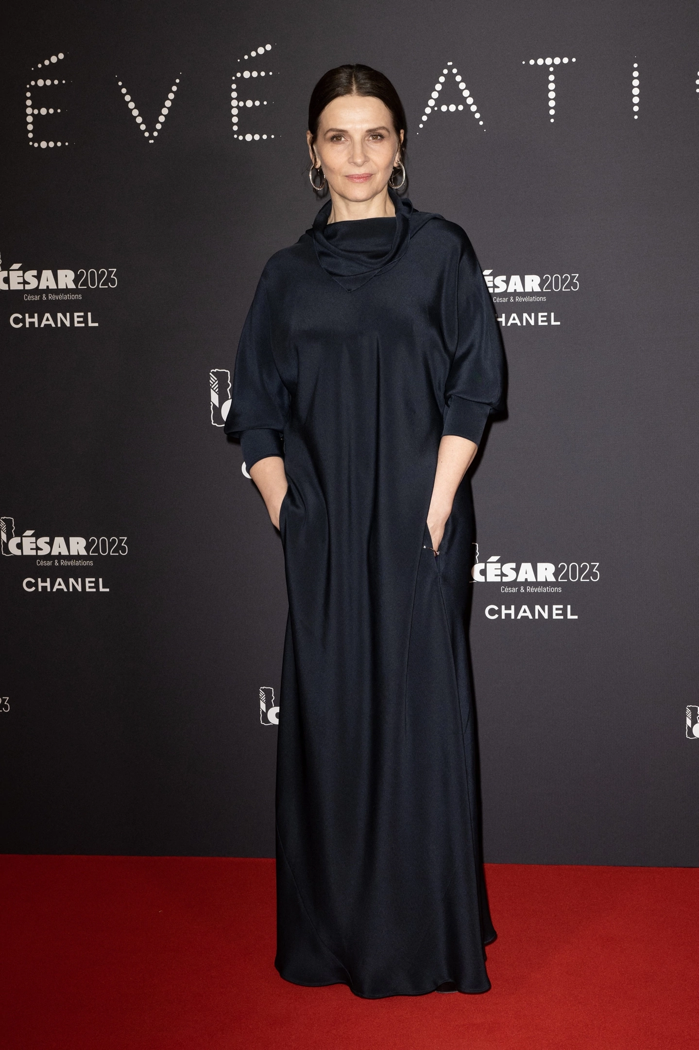 Juliette Binoche, photo #1362536