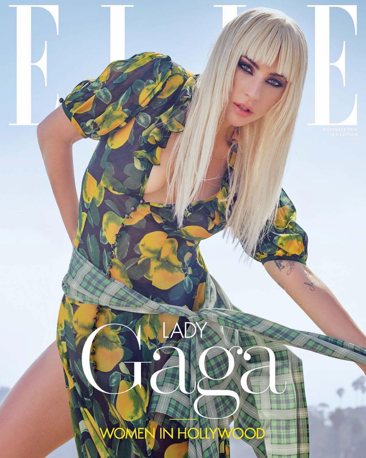 Lady Gaga, photo #1107909