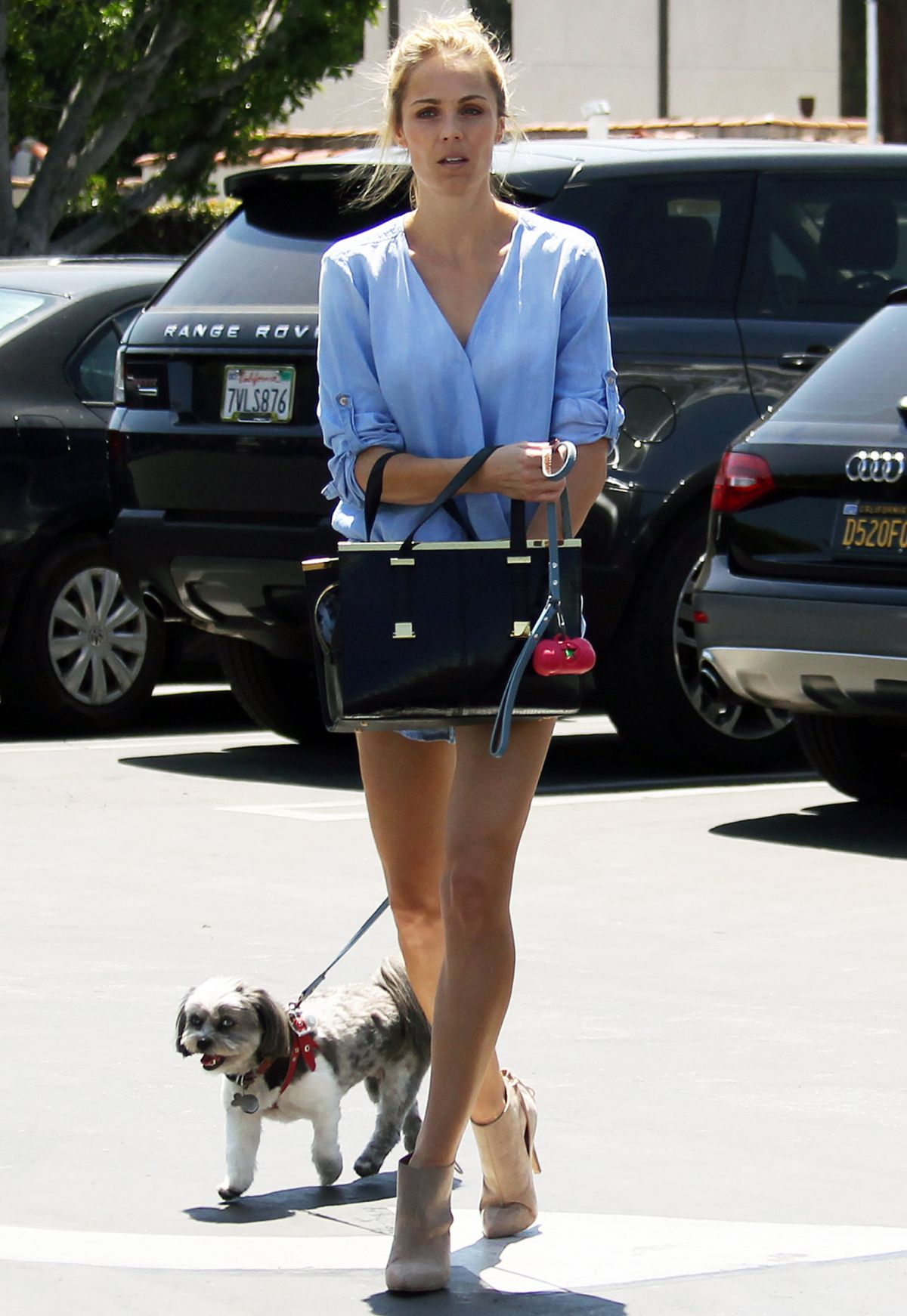 Laura Vandervoort, photo #958332