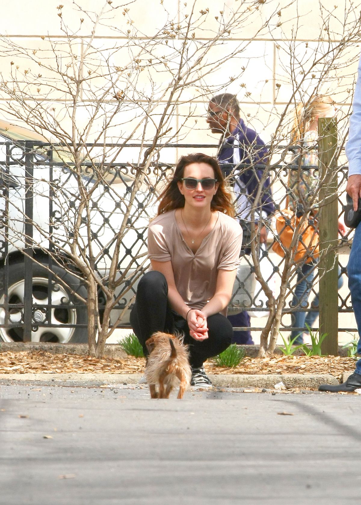 Leighton Meester, photo #722116