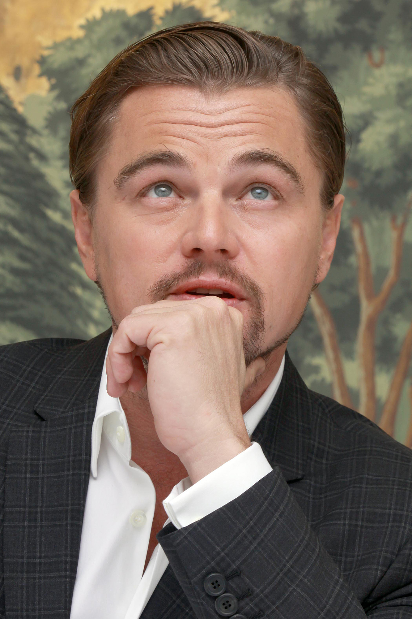 Leonardo DiCaprio, photo #799518