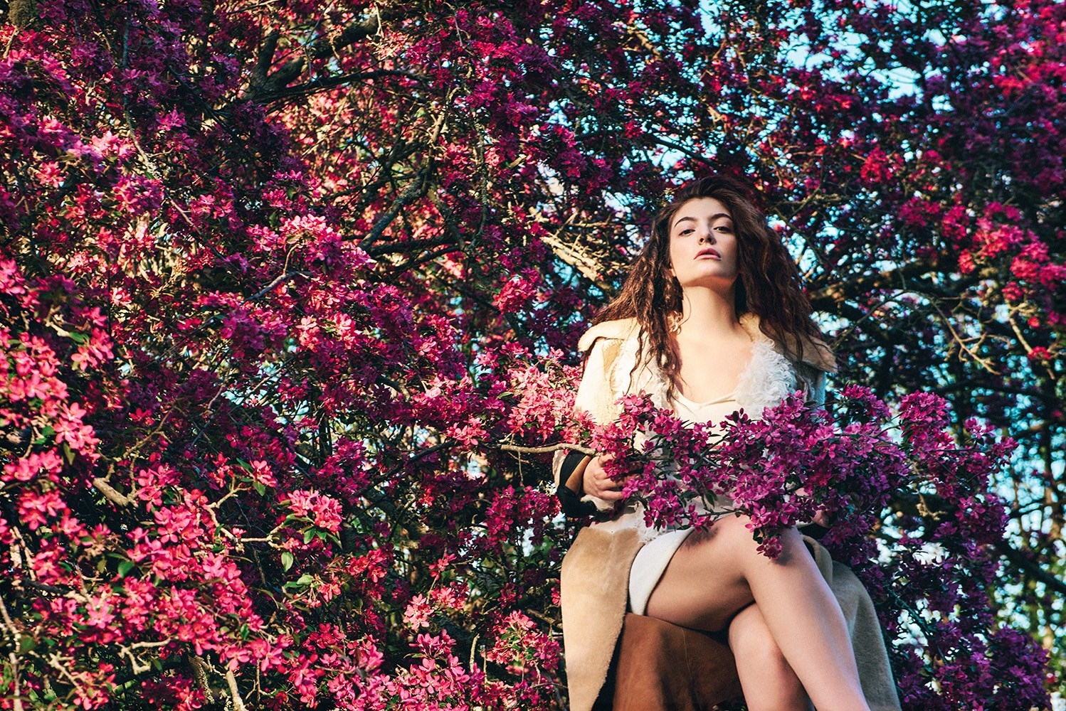 Lorde, photo #814535