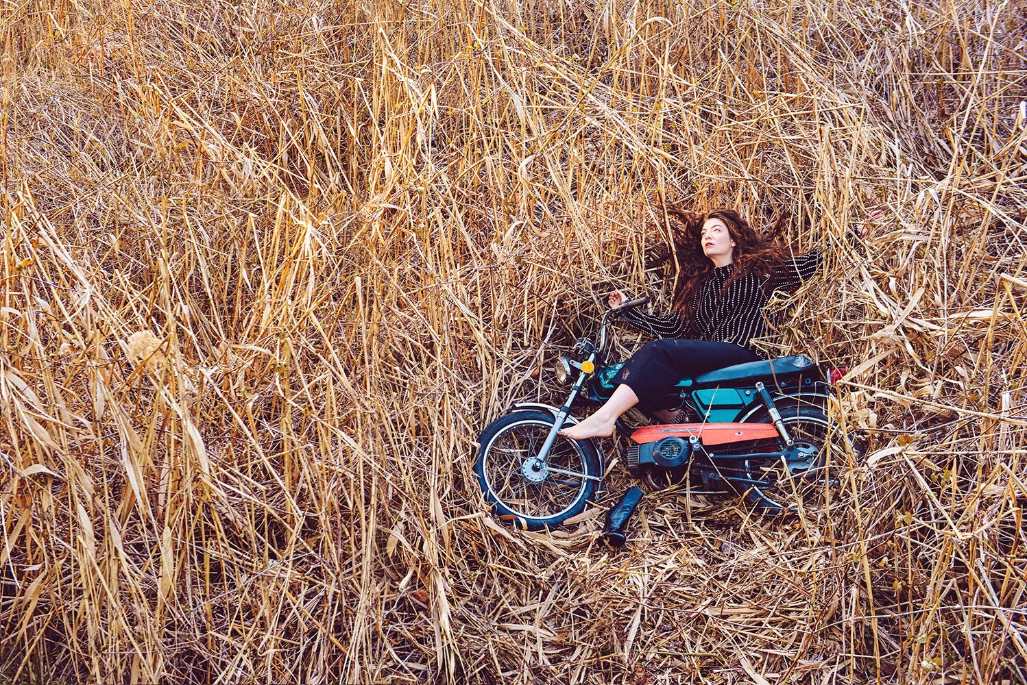 Lorde, photo #814534