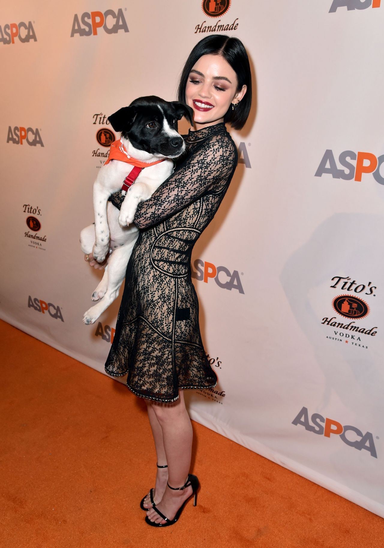 Lucy Hale, photo #957868