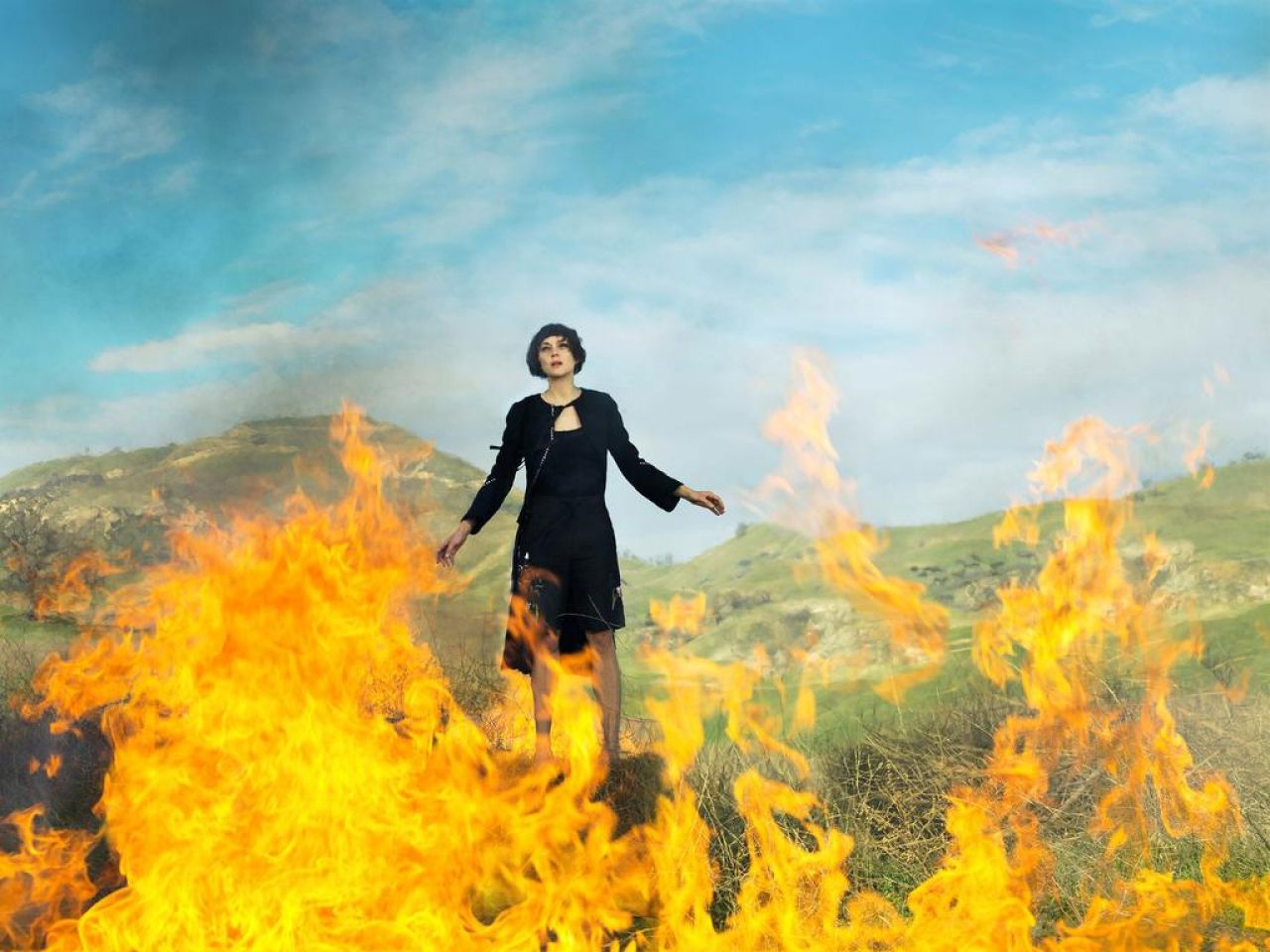 Marion Cotillard, photo #793187