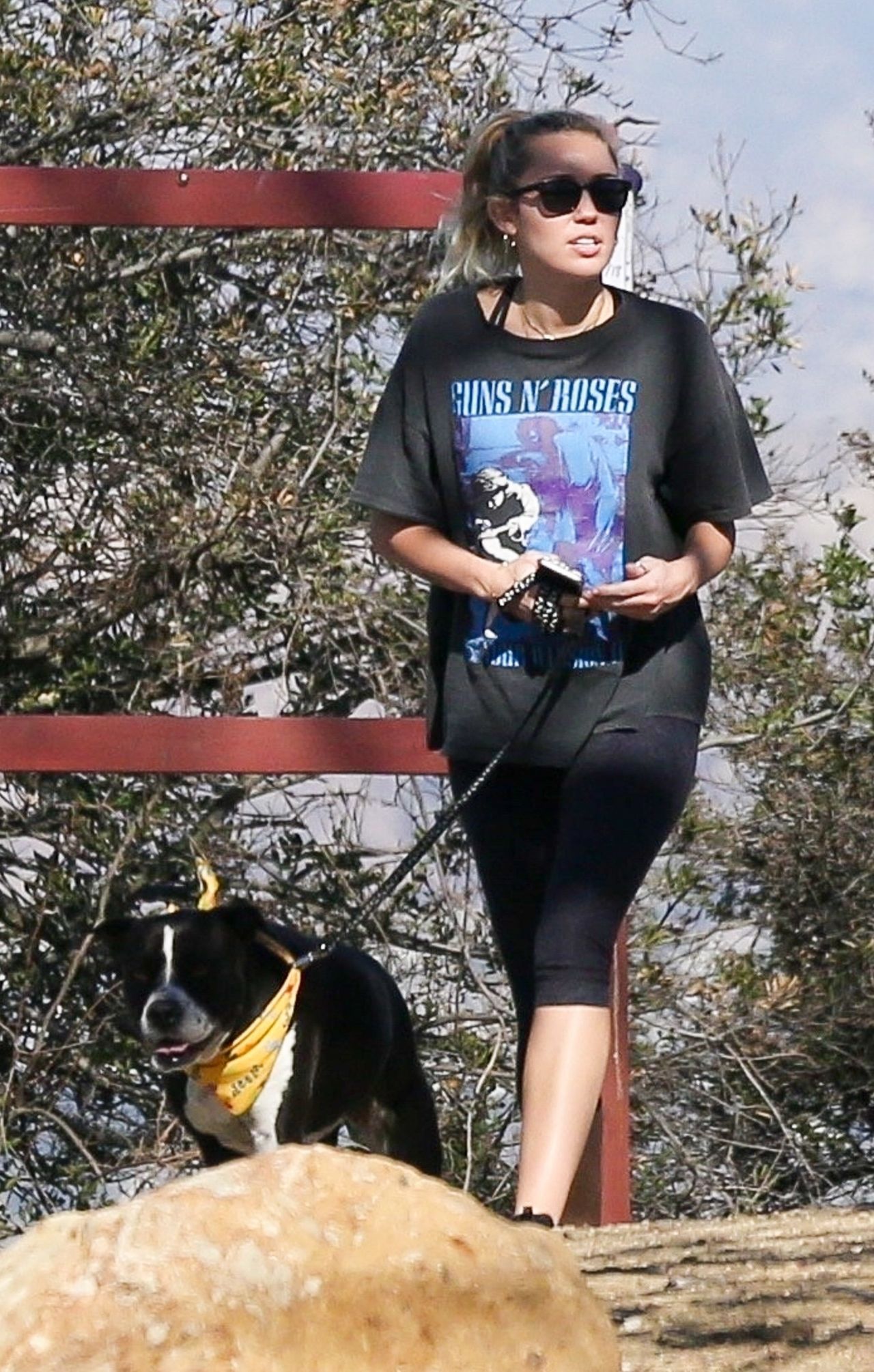 Miley Cyrus, photo #1034883