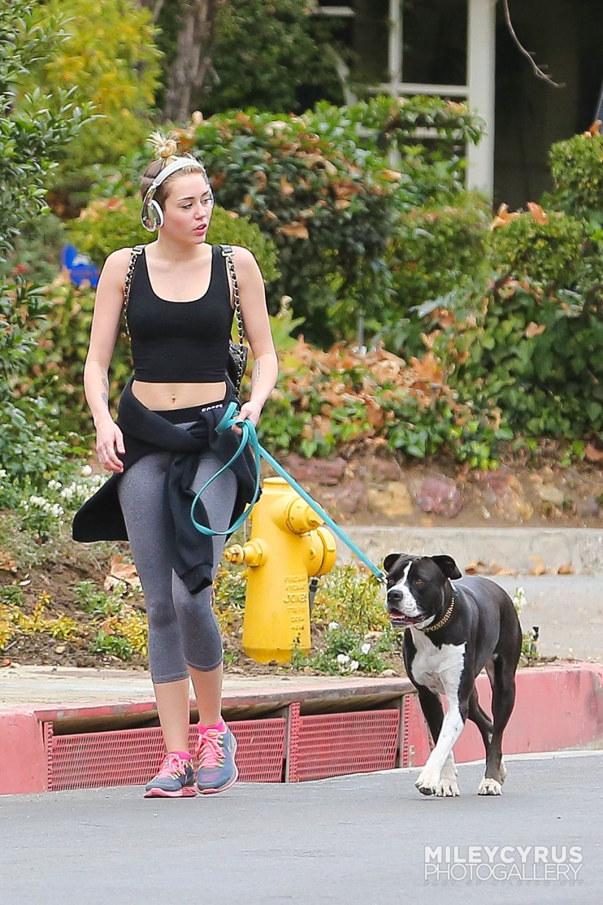 Miley Cyrus, photo #690938