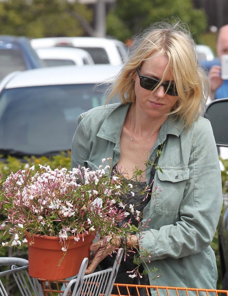 Naomi Watts, photo #648071