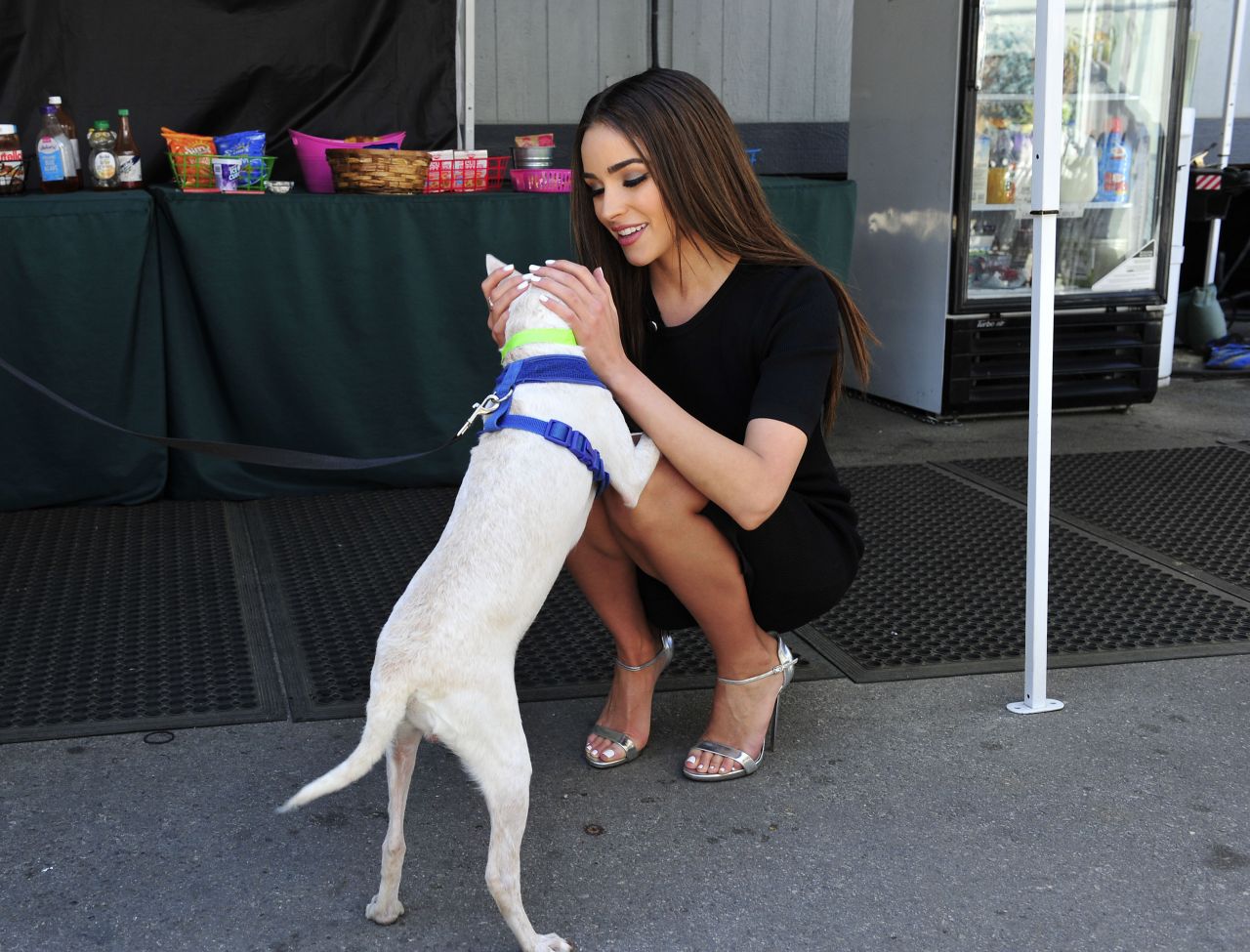 Olivia Culpo, photo #958213