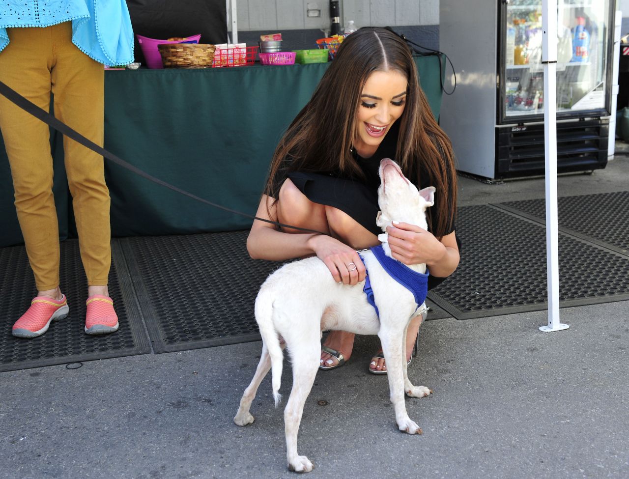 Olivia Culpo, photo #958214